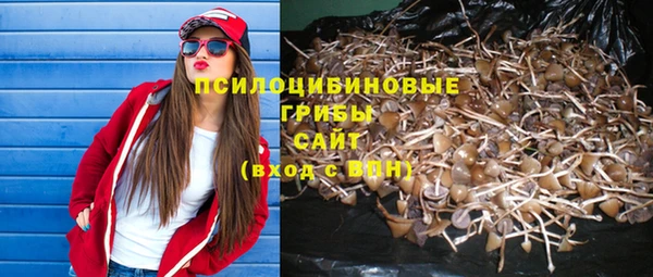 соль курить ск Богданович
