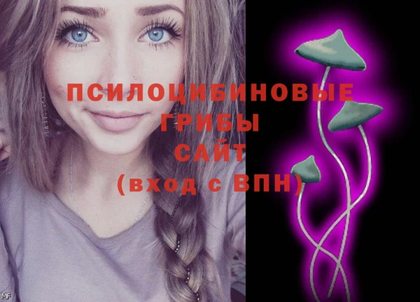 соль курить ск Богданович