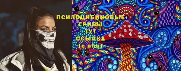 соль курить ск Богданович